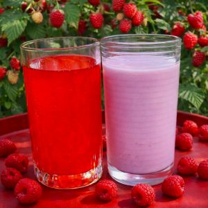 Raspberry cordial